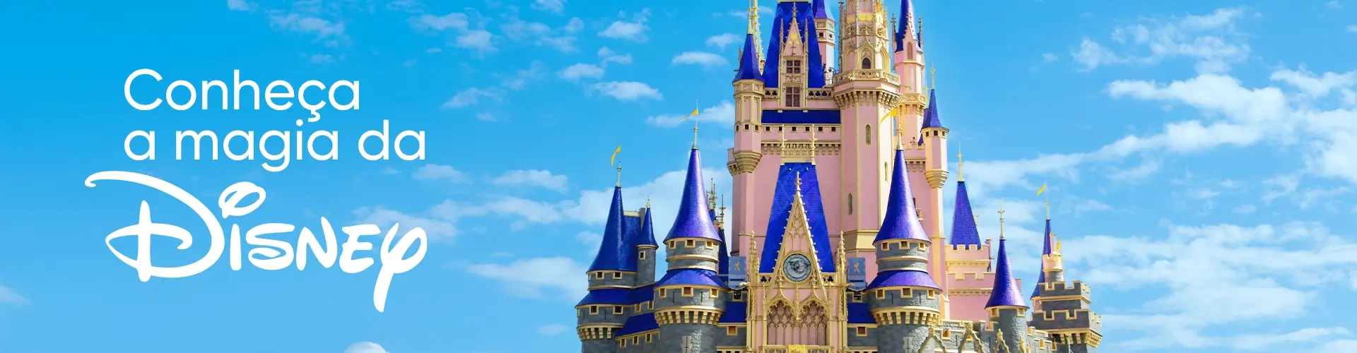 Imagem Banner de Divulgação