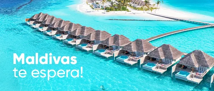 Imagem Banner de Divulgação